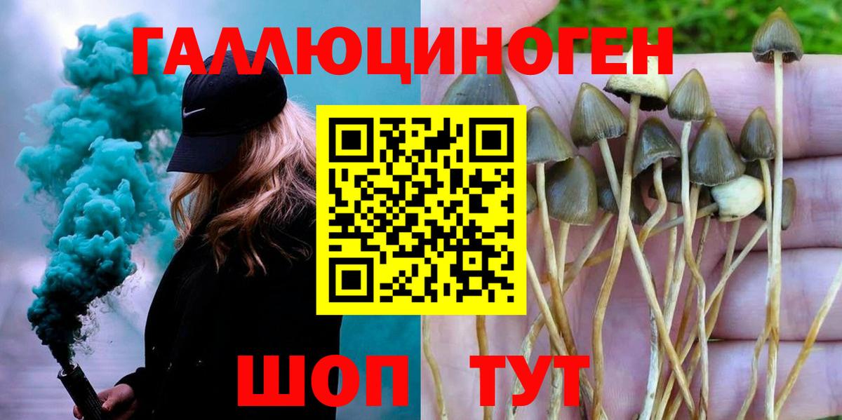 Галлюциногенные грибы мицелий Каспийск